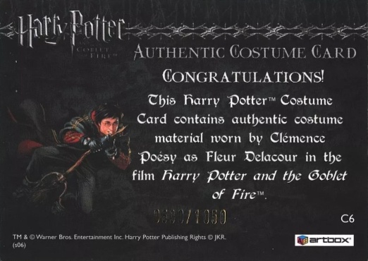 C6 - Fleur Delacour's Yule Ball Dress - Back