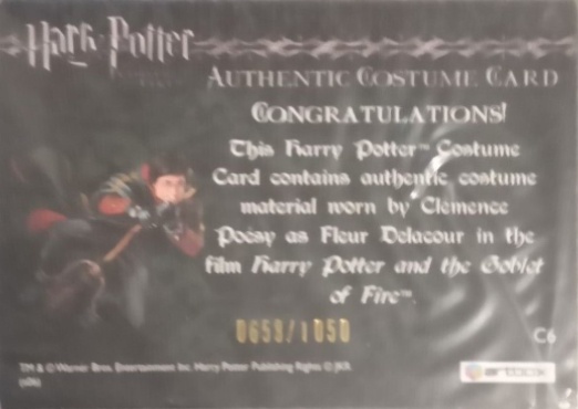 C6 - Fleur Delacour's Yule Ball Dress - Back