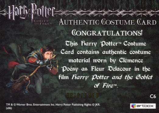 C6 - Fleur Delacour's Yule Ball Dress - Back