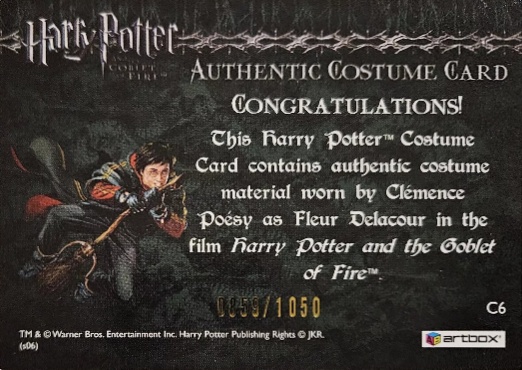 C6 - Fleur Delacour's Yule Ball Dress - Back