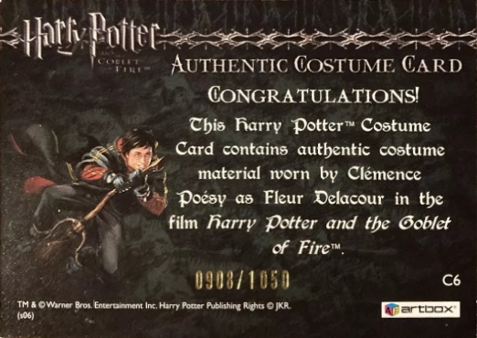 C6 - Fleur Delacour's Yule Ball Dress - Back