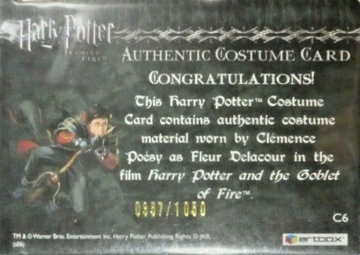 C6 - Fleur Delacour's Yule Ball Dress - Back