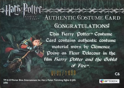 C6 - Fleur Delacour's Yule Ball Dress - Back