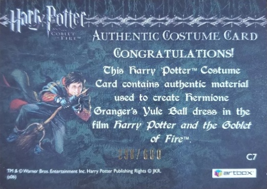 C7 - Hermione's Granger's Yule Ball Dress - Back