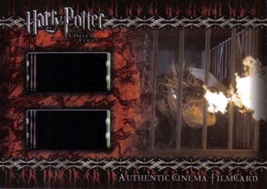 CFC2 - Dragon in Cage