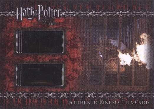 CFC2 - Dragon in Cage - Front