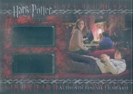 CFC8 - Hermione and Harry in the Gryffindor Common Room