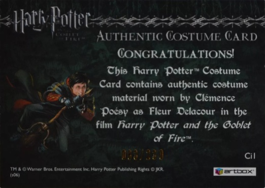 Ci1 - Fleur Delacour's Yule Ball Dress - Back