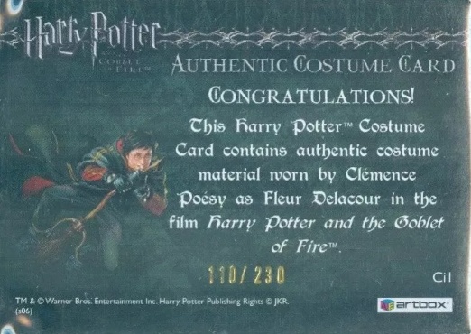 Ci1 - Fleur Delacour's Yule Ball Dress - Back