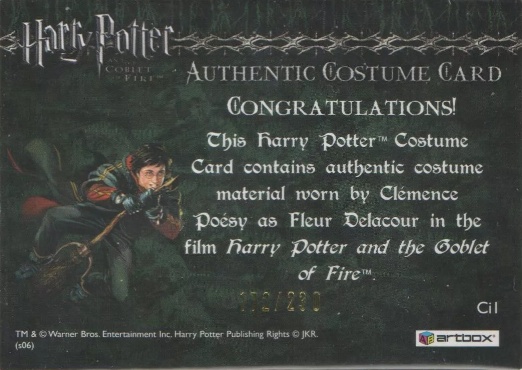 Ci1 - Fleur Delacour's Yule Ball Dress - Back