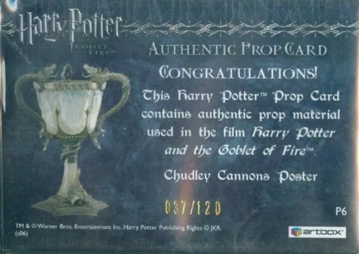 P6 - Chudley Cannons Poster - Back