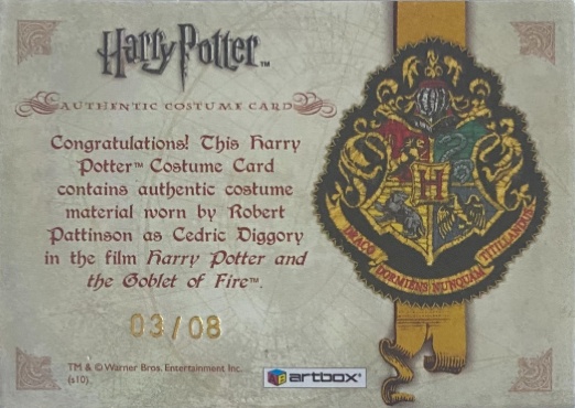 Cedric Diggory's Third Task Costume Detail - Back