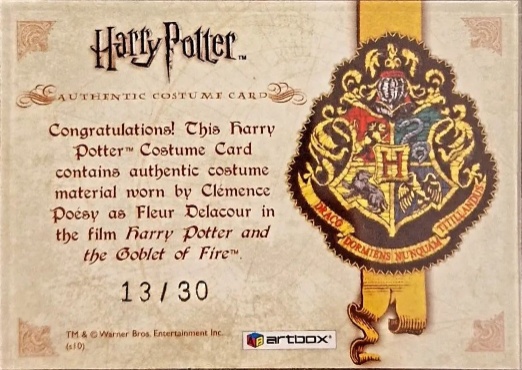 Fleur Delacour's First Task Glove - Back