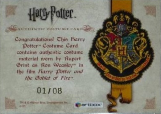 Ron Weasley's Quidditch Costume Detail - Back