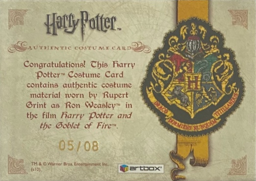 Ron Weasley's Quidditch Costume Detail - Back