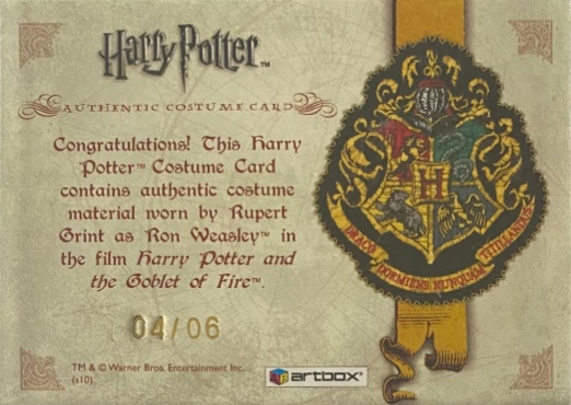 Ron Weasley's Quidditch Costume Name Patch - Back