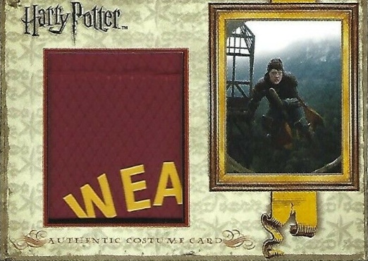 Ron Weasley's Quidditch Costume Name Patch - Front