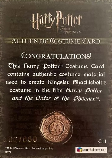 C11 - Kingsley Shacklebolt's Costume - Back