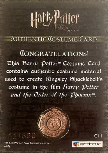 C11 - Kingsley Shacklebolt's Costume - Back