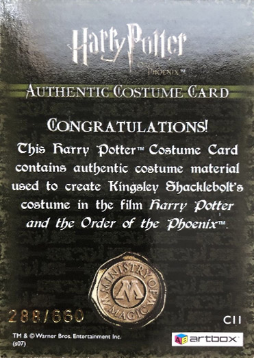 C11 - Kingsley Shacklebolt's Costume - Back