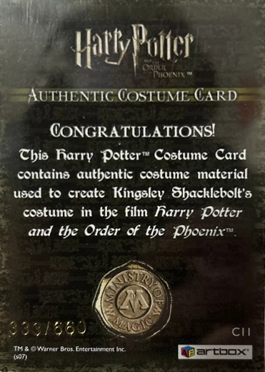 C11 - Kingsley Shacklebolt's Costume - Back