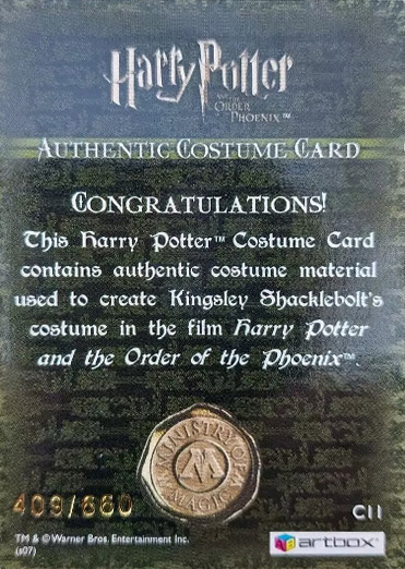 C11 - Kingsley Shacklebolt's Costume - Back