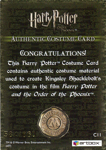 C11 - Kingsley Shacklebolt's Costume - Back