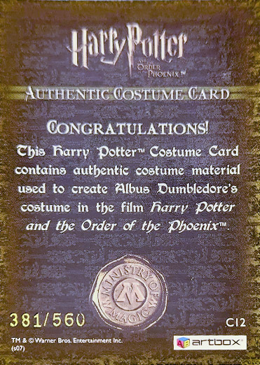 C12 - Albus Dumbledore's Costume - Back