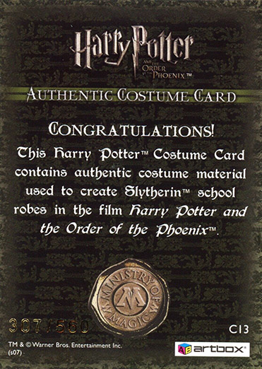 C13 - Slytherin School Robes - Back