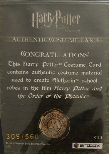 C13 - Slytherin School Robes - Back