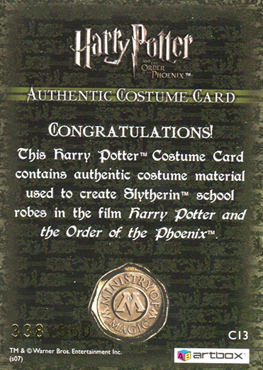 C13 - Slytherin School Robes - Back