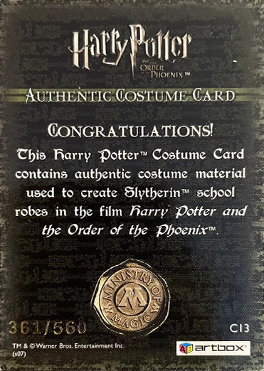 C13 - Slytherin School Robes - Back