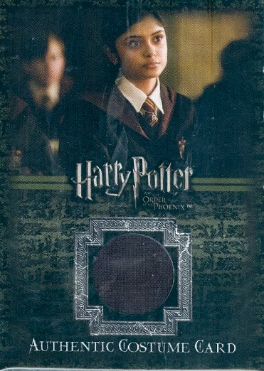 C15 - Gryffindor School Robes