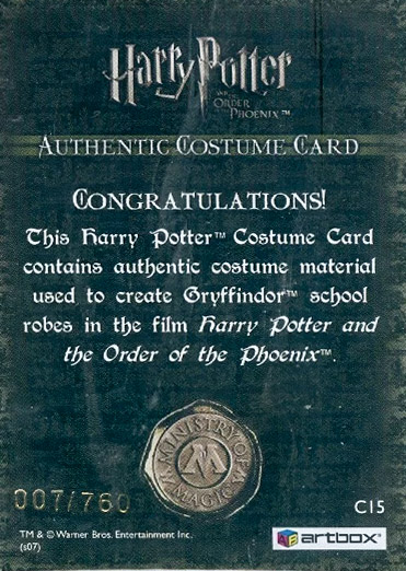 C15 - Gryffindor School Robes - Back