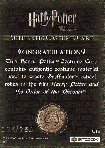 C15 - Gryffindor School Robes - Back