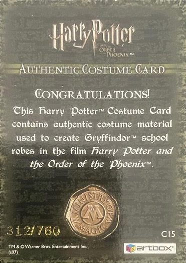 C15 - Gryffindor School Robes - Back