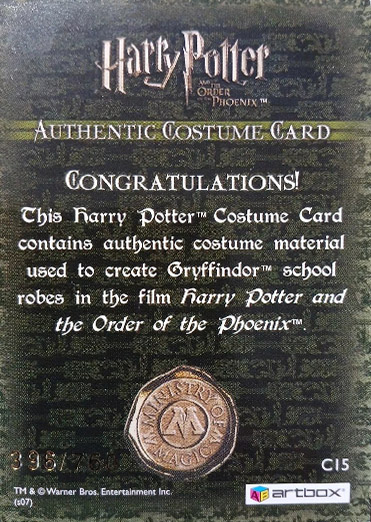 C15 - Gryffindor School Robes - Back