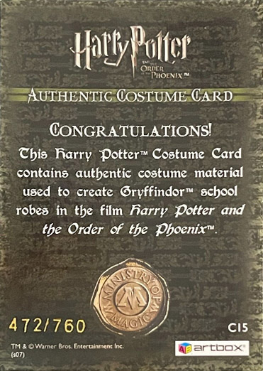 C15 - Gryffindor School Robes - Back