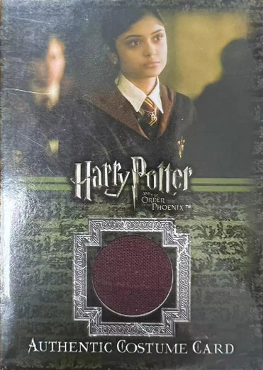 C15 - Gryffindor School Robes - Front