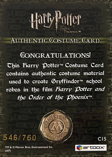 C15 - Gryffindor School Robes - Back