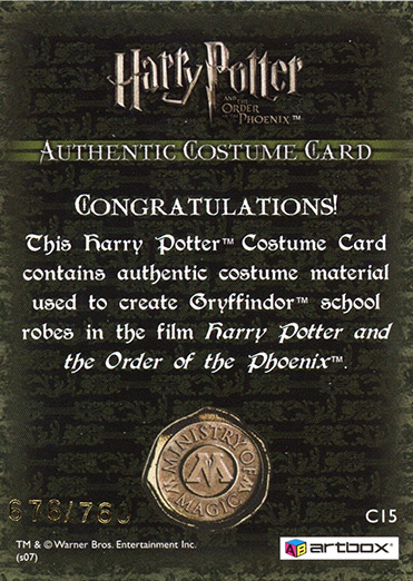 C15 - Gryffindor School Robes - Back