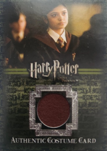 C15 - Gryffindor School Robes - Front