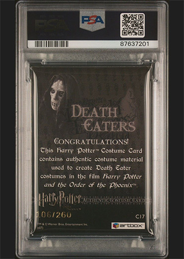 C17 - Death Eater Costume - Back