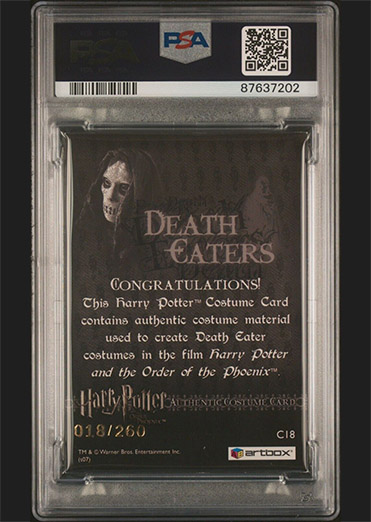 C18 - Death Eater Costume - Back