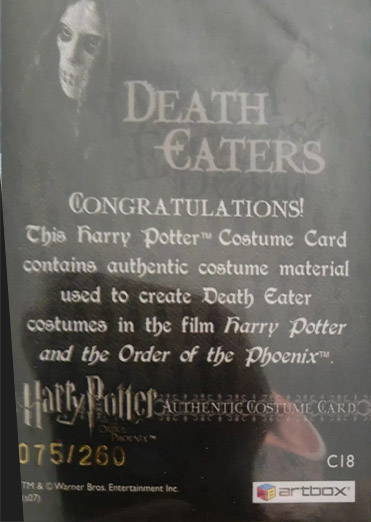 C18 - Death Eater Costume - Back