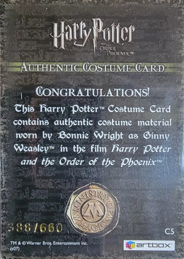 C5 - Ginny Weasley's Jumper - Back