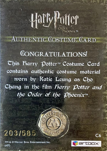 C6 - Cho Chang's Robe - Back