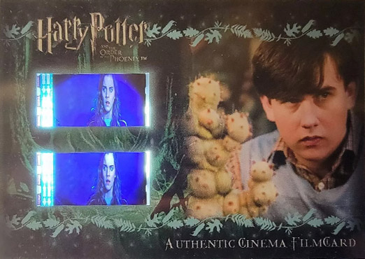 CFC4 - Neville with Plant - Front