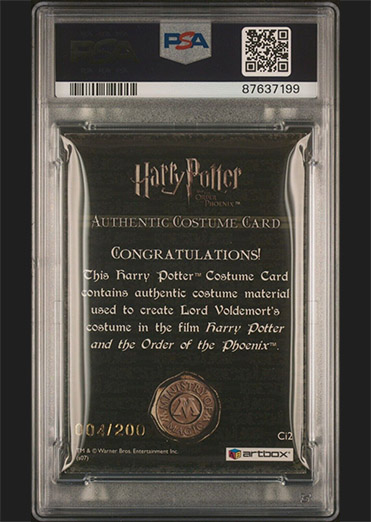 Ci2 - Lord Voldemort's Robes - Back