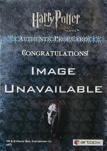 Ci3 - Bellatrix Lestrange's Death Eater Mask - Back